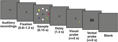 Neural Activity Is Dynamically Modulated by Memory Load During the Maintenance of Spatial Objects